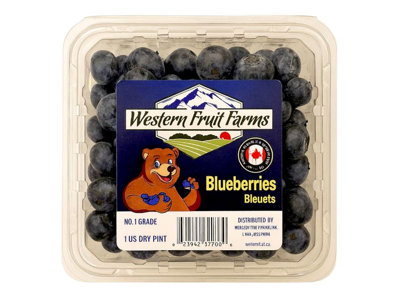Blueberries /551ml
