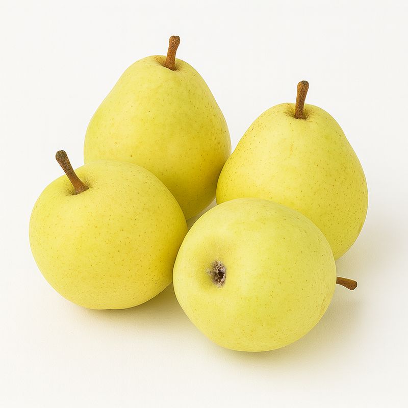 Gem Pear / Lb