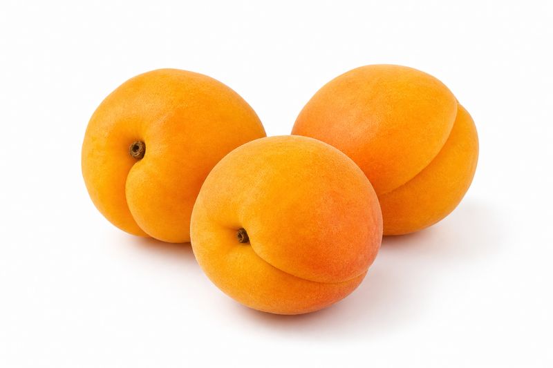 Spring gold apricot / Lb