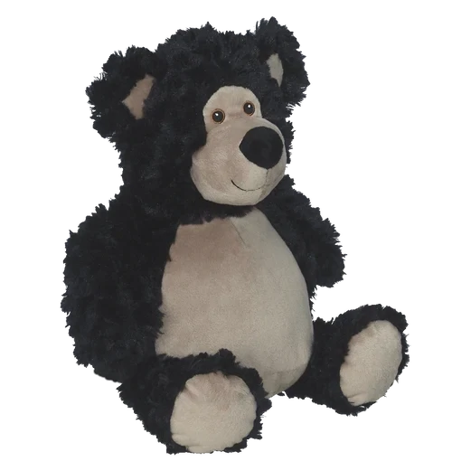 Bobby Black Bear