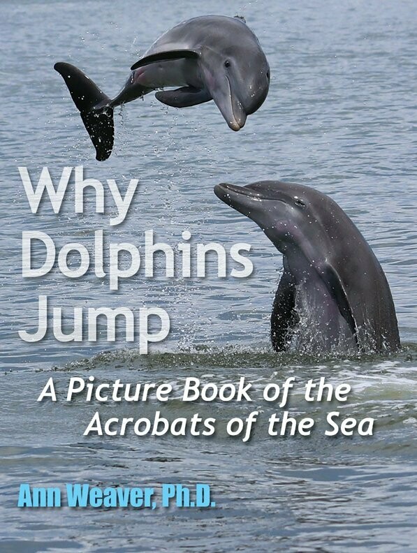 10-BOOK BULK ORDER: Why Dolphins Jump