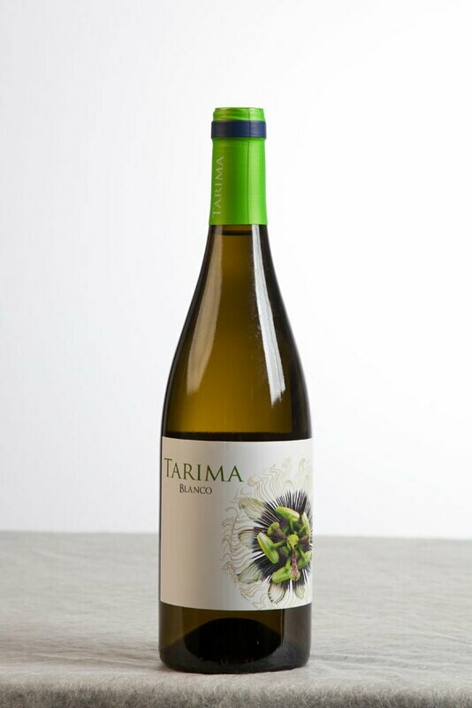 Tarima Blanco