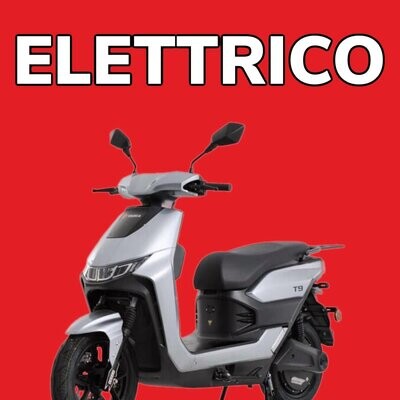 VEICOLI ELETTRICI