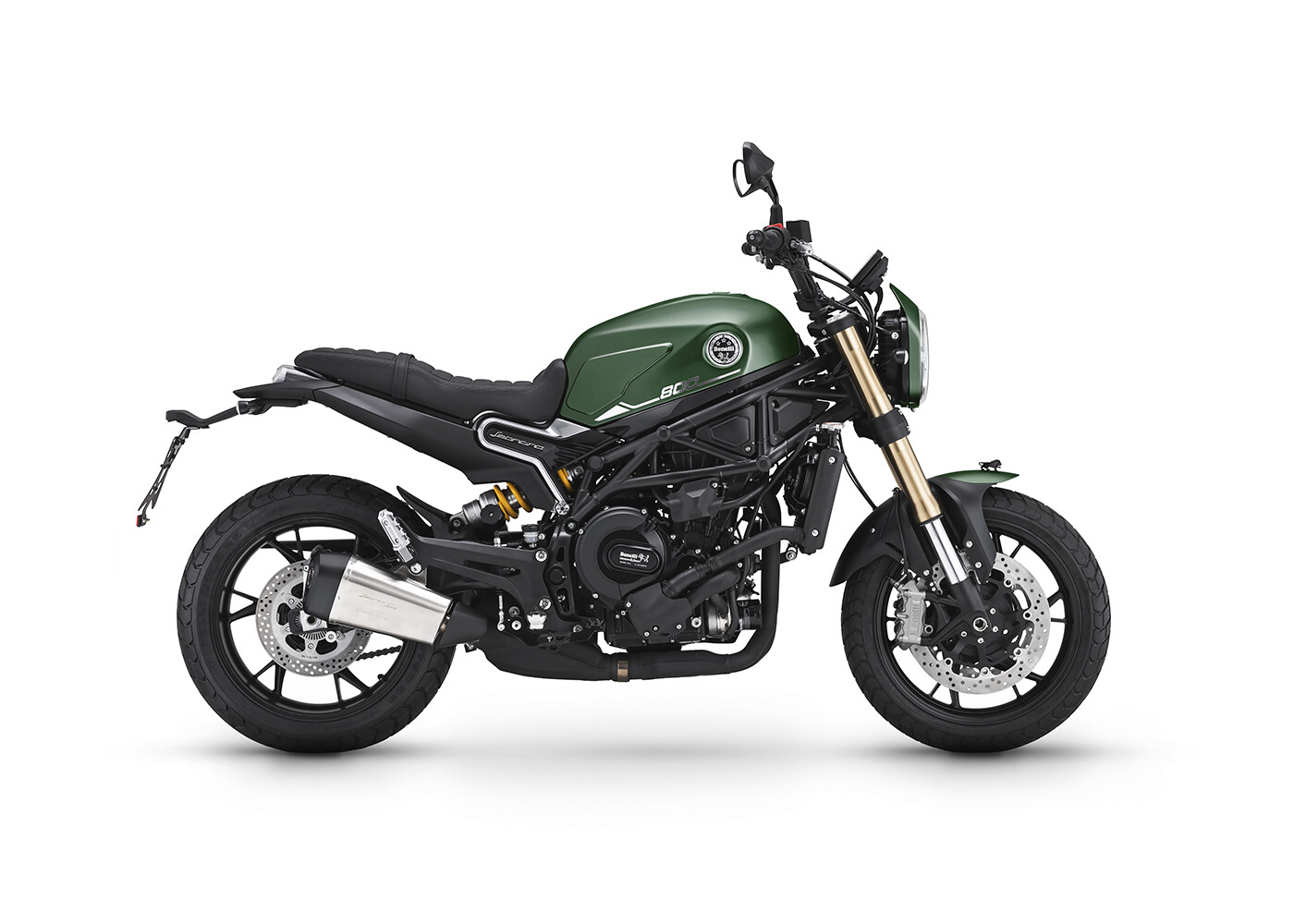 BENELLI LEONCINO 800