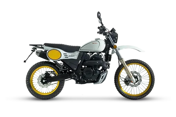 SILVER VASE versione  T  650cc