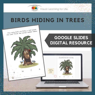 Birds Hiding in Tree (Google Slides)