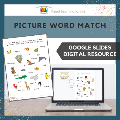 Picture Word Match (Google Slides)