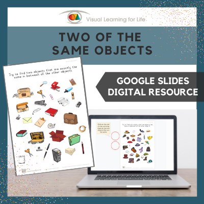 Two of the Same Objects (Google Slides)