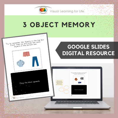 3 Object Memory (Google Slides)