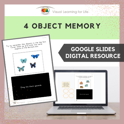4 Object Memory (Google Slides)