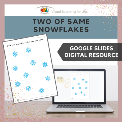 Two of the Same Snowflakes (Google Slides)