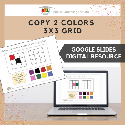 Copy 2 Colours/Colors 3x3 Grid (Google Slides)
