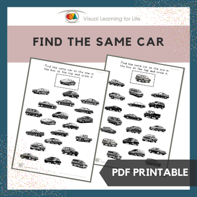 Find the Same Car