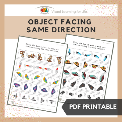 Object Facing Same Direction