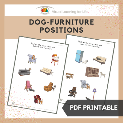 Dogs-Furniture Position