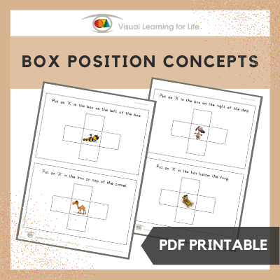 Box Position Concepts