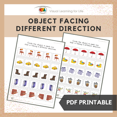 Object Facing Different Direction