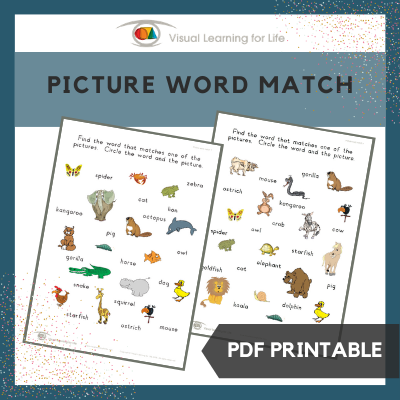 Picture Word Match
