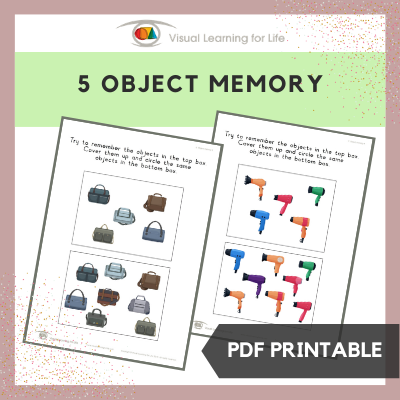 5 Object Memory