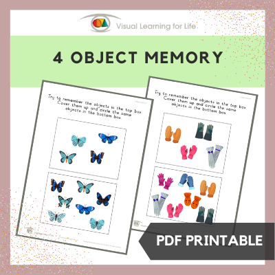 4 Object Memory
