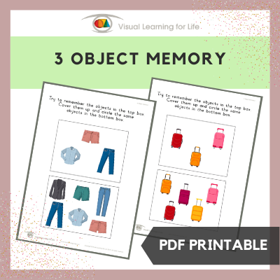 3 Object Memory