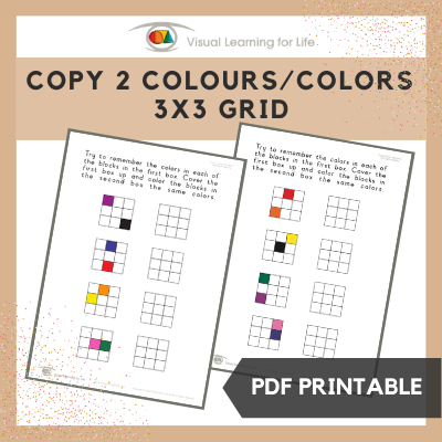 Copy 2 Colours/Colors 3x3 Grid