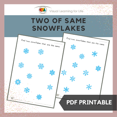 Two of the Same Snowflakes
