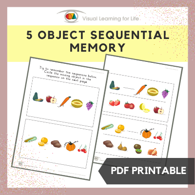 5 Object Sequential Memory