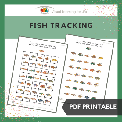 Fish Tracking