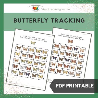 Butterfly Tracking
