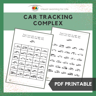 Car Tracking Complex