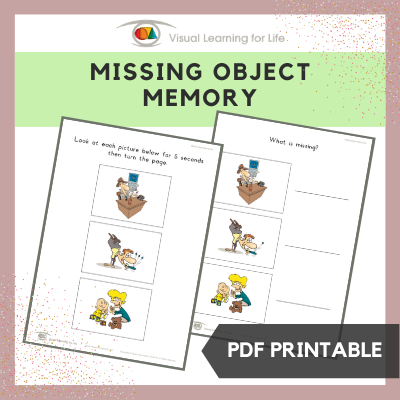 Missing Object Memory