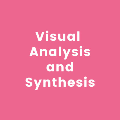Visual Analysis and Synthesis