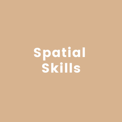 Spatial Skills
