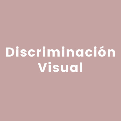 Discriminación Visual