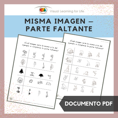 Misma Imagen – Parte Faltante