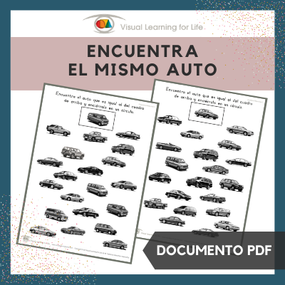 Encuentra el Mismo Auto