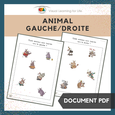 Animal gauche/droite