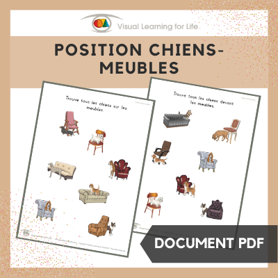 Position chiens-meubles