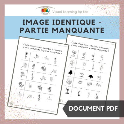 Image identique – partie manquante