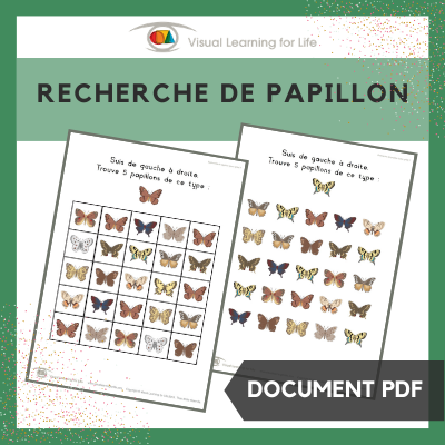 Recherche de papillon