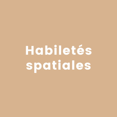 Habiletés spatiales