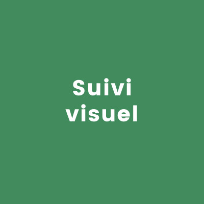 Suivi visuel