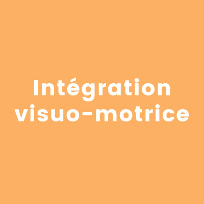 Intégration visuo-motrice