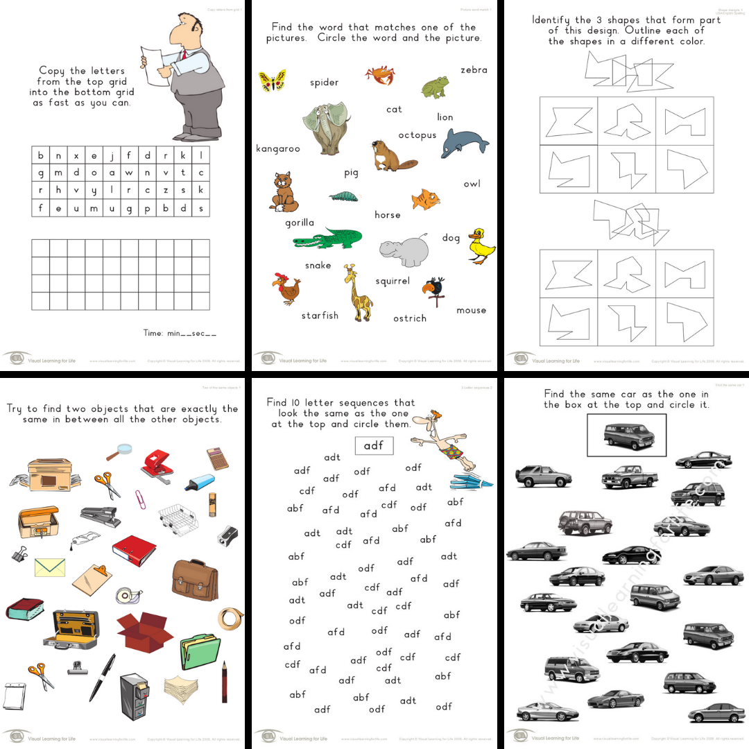 visual perceptual skills builder 2300 worksheets in total