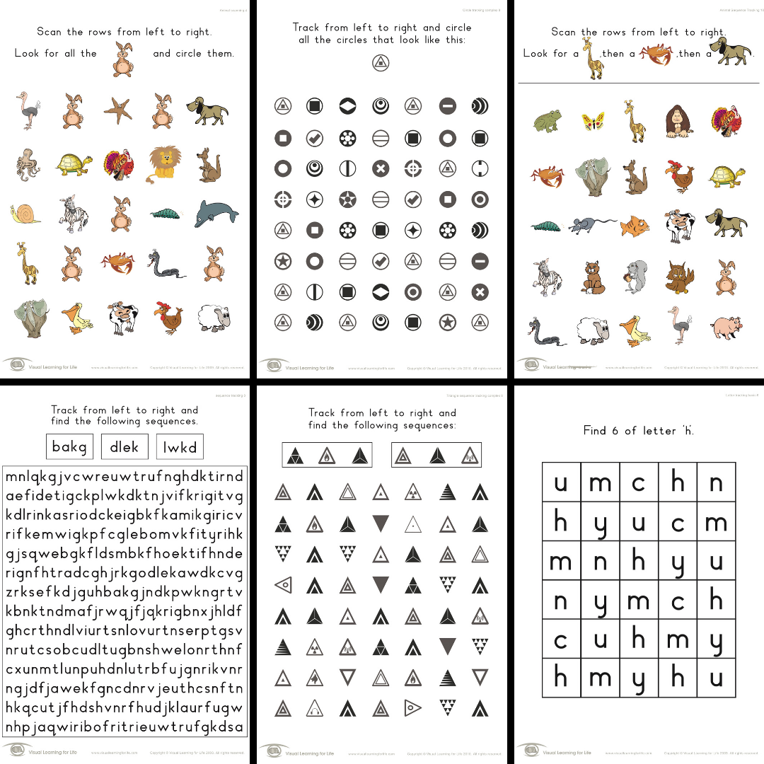 visual tracking skills builder