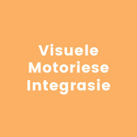 Visuele Motoriese Integrasie