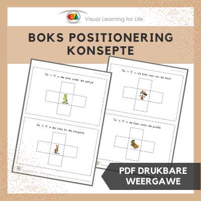 Boks Positionering Konsepte