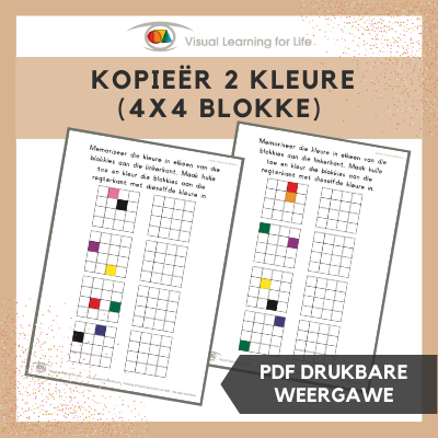 Kopieër 2 Kleure (4x4 Blokke)