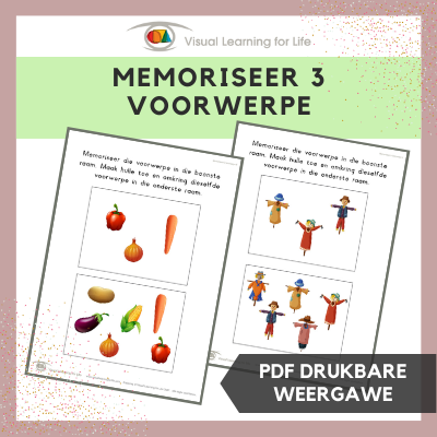 Memoriseer 3 Voorwerpe